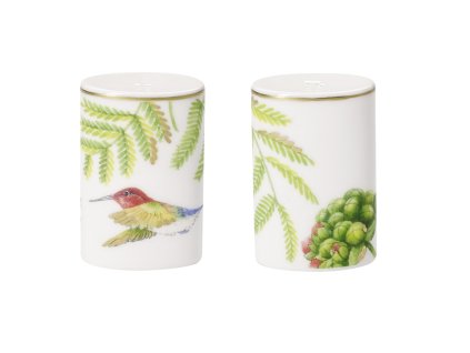 Soľnička a Korenička Amazonia Anmut, Set 2 ks – Villeroy & Boch 1