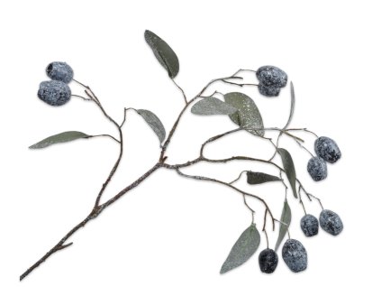 Eukalyptus s bobuľami 66cm