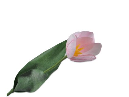 131330 piol747zzbirbzng