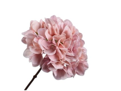 153050 nu12u5kruy5bahlf