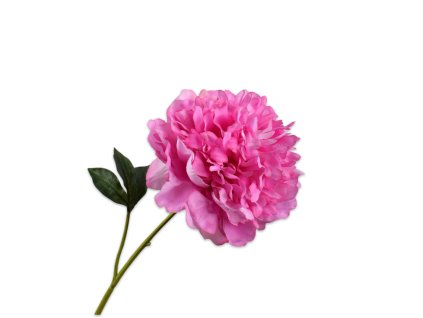 154898 qxebfbggdxufgeg8