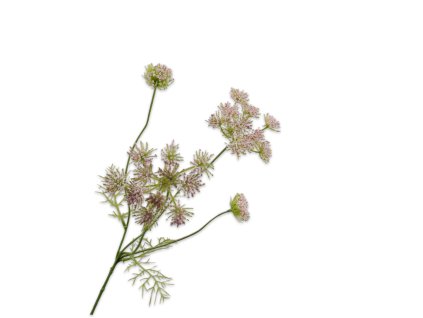 157063 xiphv0mecbs9tk0m