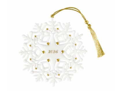 VB 1486754364 ChristmasClassic Schneeflocke Top mono fs single rgb